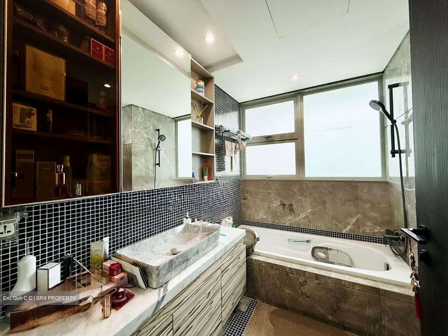 The Vision (D5), Condominium #564247911